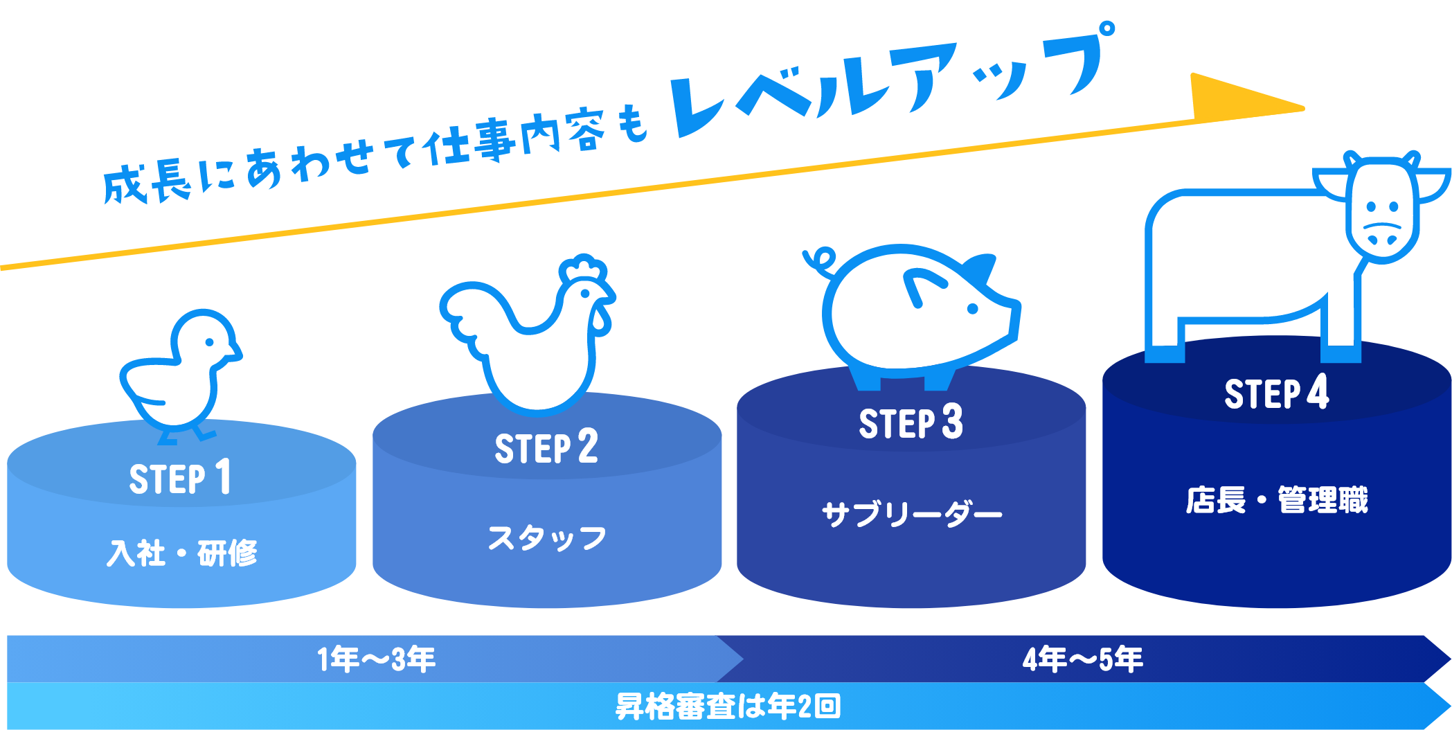 成長にあわせて仕事内容もレベルアップ